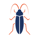 Cockroach Management