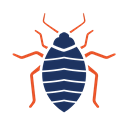 Bed Bug Management