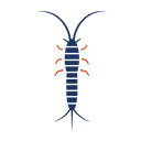 Silverfish Management